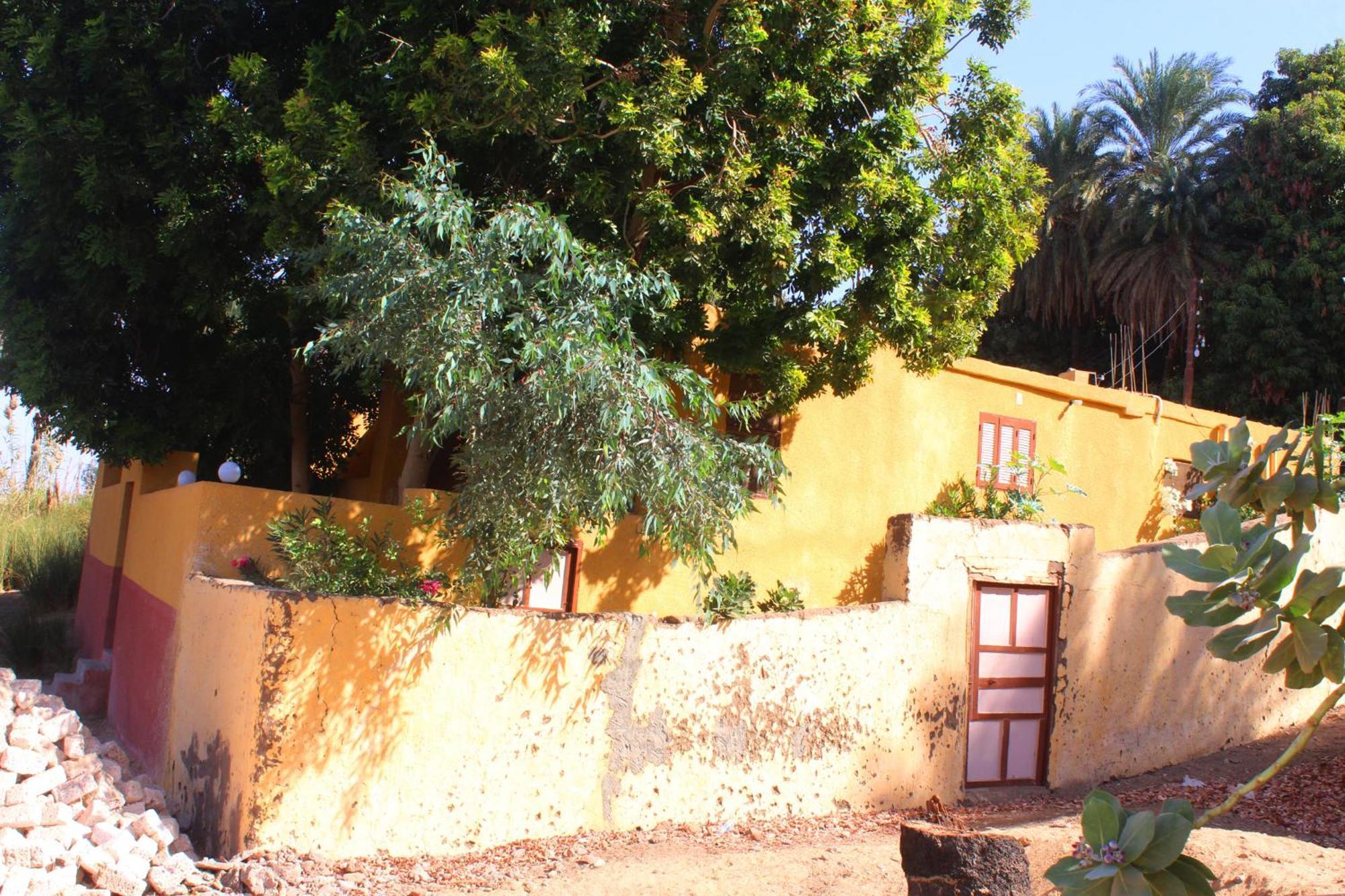 Hamo Guest House Aswan Bagian luar foto