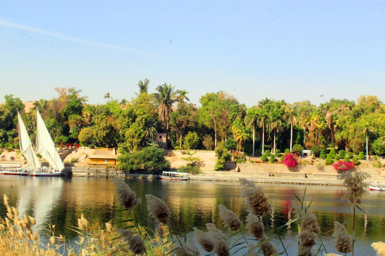 Hamo Guest House Aswan Bagian luar foto